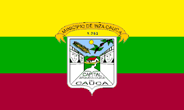 [cau-inz.png]